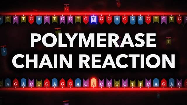 Это Уравнение Изменит Ваш Взгляд На Мир (Veritasium | Веритасиум)