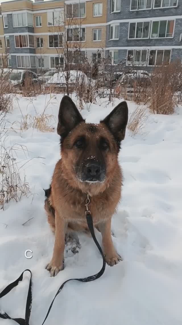 Кто также начинает новую жизнь с нового года? смотреть онлайн