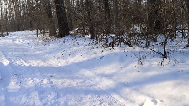 VIVO V29 Честный обзор