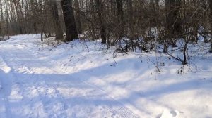 VIVO V29 Честный обзор