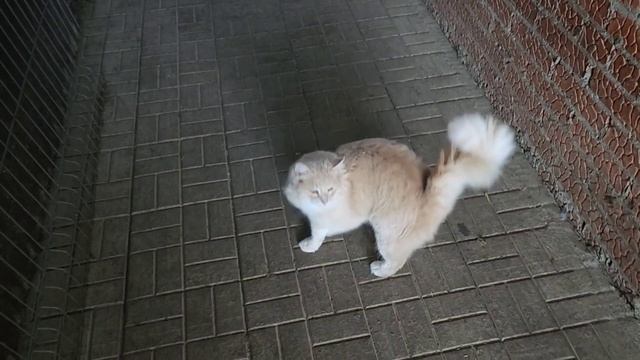 Что мы делаем первого января. смотреть онлайн