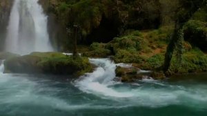 Мощный Нейтрализатор ХЕЛИКОБАКТЕР ПИЛОРИ (Helicobacter pylori)*Исцеление звуком