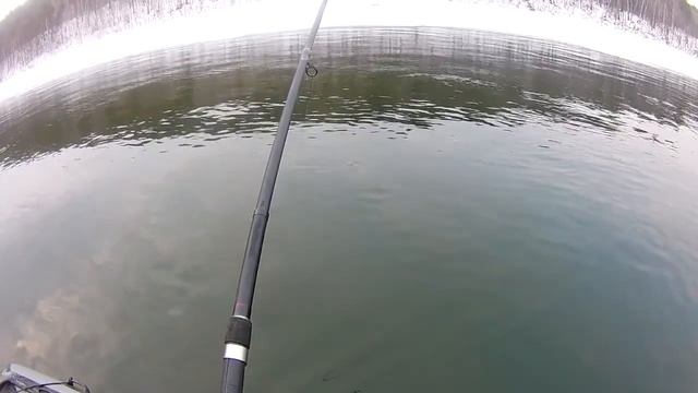 ХАРИУС В АПРЕЛЕ АНГАРА