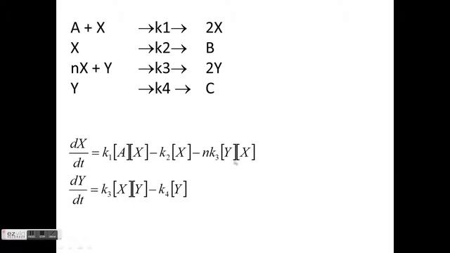 Die Belousov Zhabotinsky Reaktion Theorie смотреть онлайн