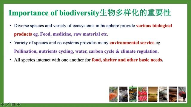 KSSM F5 C8 Biodiversity Part 4 смотреть онлайн