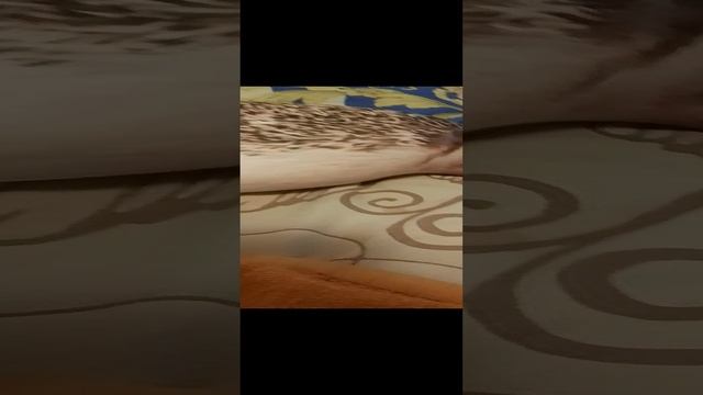 кстати смотреть онлайн