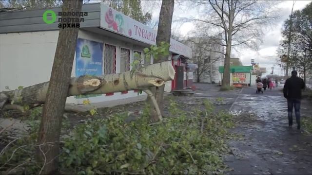 Коммунальщики продолжают ликвидировать последствия урагана в Вологде смотреть онлайн