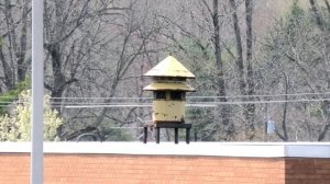 FS Model 5T Siren Test Clarion, PA 4/24/21