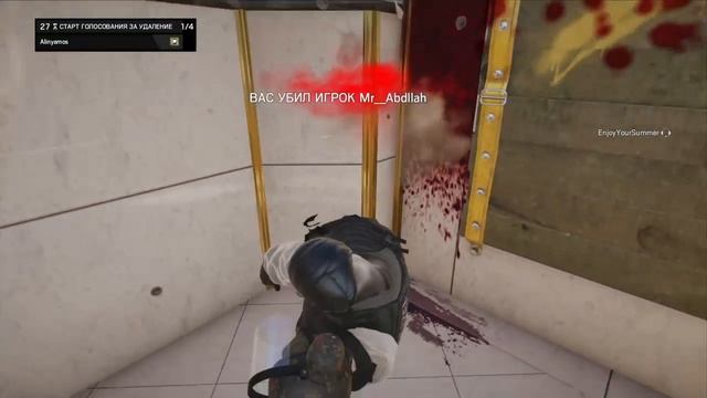 Rainbow six siege | Почти 100 котят смотреть онлайн