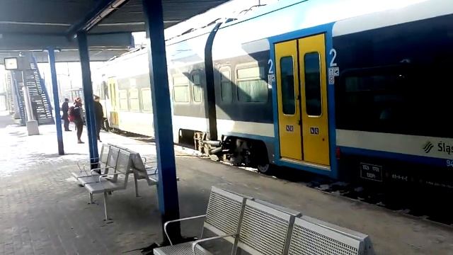 Свои в Польше)