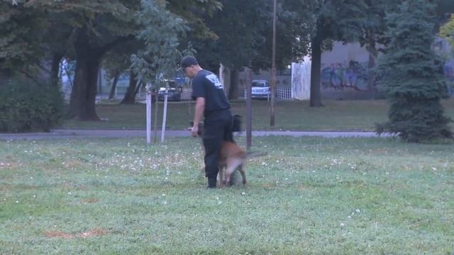 Тренировчица смотреть онлайн