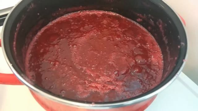 Pekmez od ribizle - za 30 minuta sve gotovo смотреть онлайн