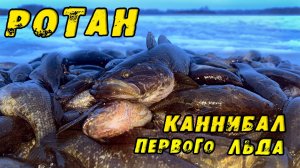 ПЕРВЫЙ ЛЁД 2024-2025! Рыбы МОНСТРЫ едят друг друга! ЭТО Озеро кишит ЧУЖИМИ! Зимняя рыбалка на РОТАНА