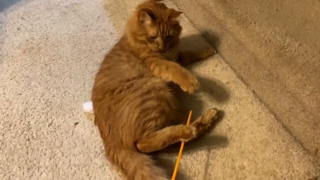 Sword Fighting Cinnabon! смотреть онлайн