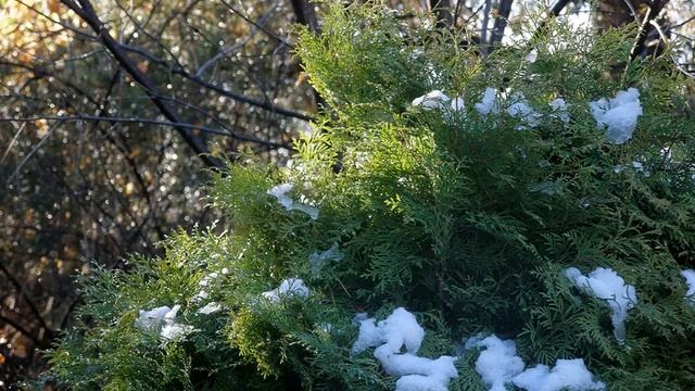 Первый снег смотреть онлайн