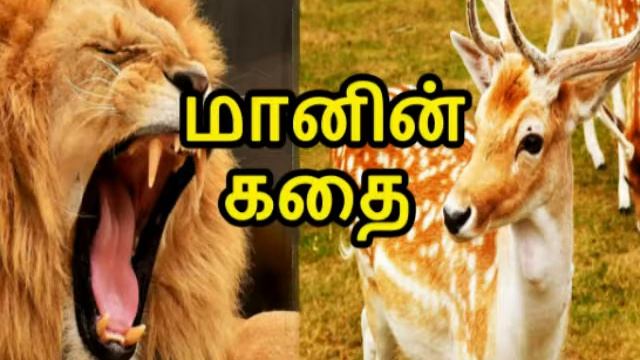 வலியவர்கள் எளியவர்களின் கதை | Tamill Story | Tami Stories смотреть онлайн