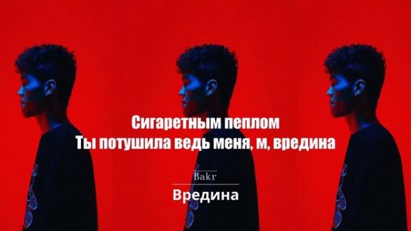 Bakr - Вредина (Lyrics, Tekst)