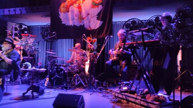 Крестовый поход птиц смотреть онлайн