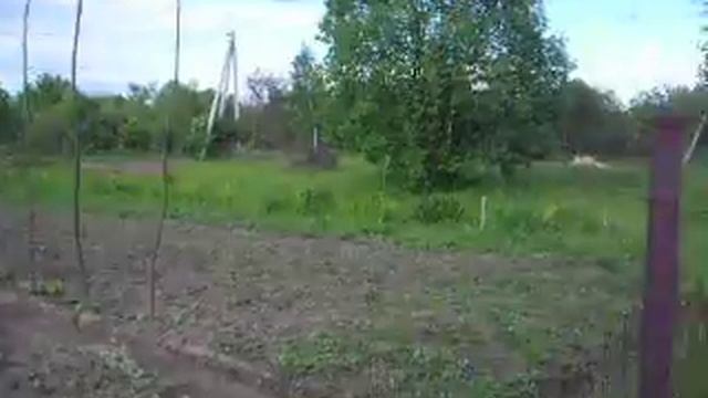 Цвіте калина смотреть онлайн