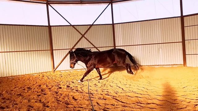 Нерабочее настроение) смотреть онлайн