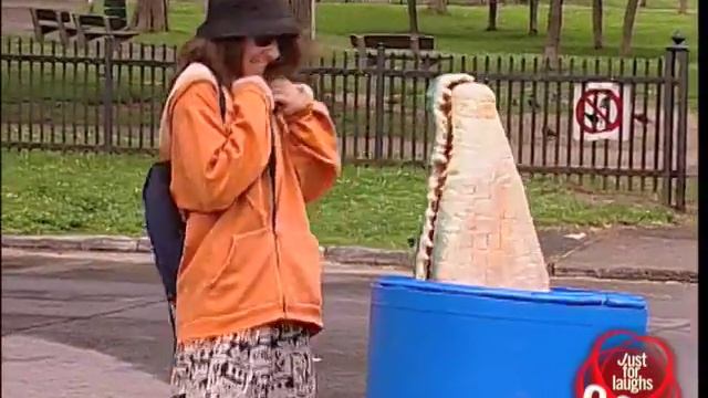 Crocodile Hidden Camera смотреть онлайн