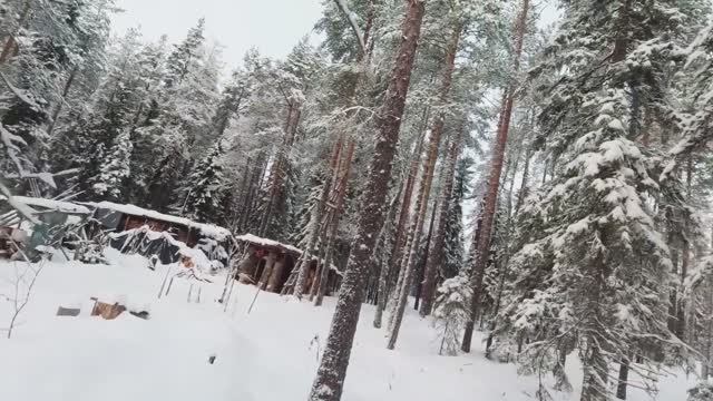 ПОХОД К НЕИЗВЕСТНОЙ ИЗБЕ. ТАЁЖНОЕ ЗИМОВЬЁ. НОЧЬ В ИЗБЕ. ТЯЖЁЛЫЙ ПУТЬ В ТАЙГУ. смотреть онлайн