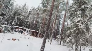 ПОХОД К НЕИЗВЕСТНОЙ ИЗБЕ. ТАЁЖНОЕ ЗИМОВЬЁ. НОЧЬ В ИЗБЕ. ТЯЖЁЛЫЙ ПУТЬ В ТАЙГУ.