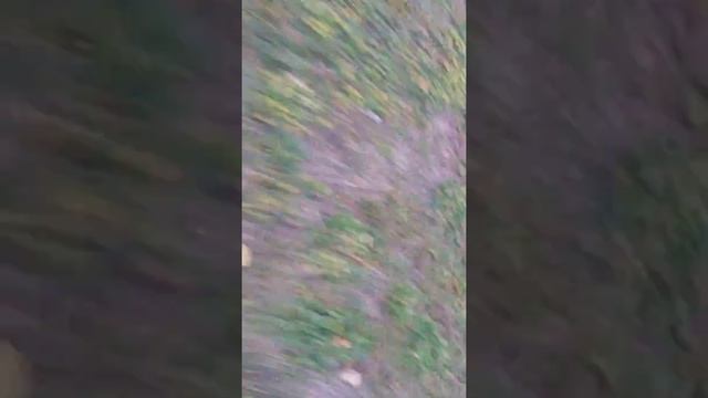 Нашли кота на площадкі. смотреть онлайн