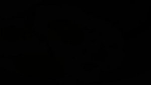 Бедана тухуми Эркак жинсий аъзосига канчалик фойда