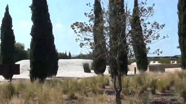 Винодельня  Торрес .Экскурсия от Bas Plana  из Салоу. Испания.