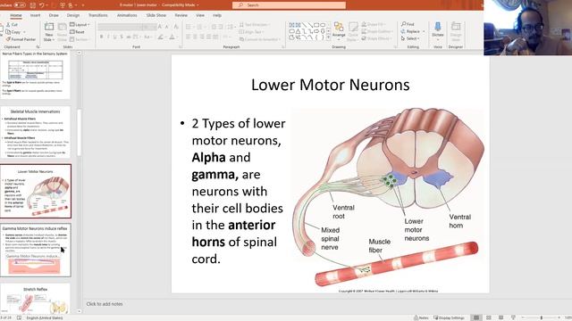8 motor 1 lower motor смотреть онлайн