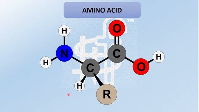6. কোষ রসায়ন | Botany | Chapter- 03 | My Study Friend | HSC |
