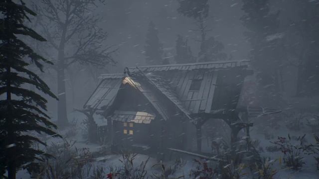 ЖЕСТОКИЙ АРКТИЧЕСКИЙ ВЕТЕР с ЭКСТРЕМАЛЬНЫМИ ХОЛОДАМИ и метелью, мешающими спать смотреть онлайн