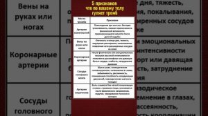 5 признаков что по телу гуляет тромб