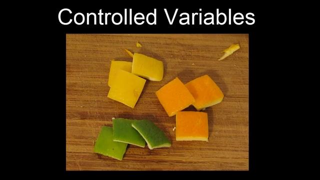 Variables: Limonene Science Project