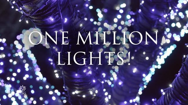Tucson Botanical Gardens Lights UP 2022 смотреть онлайн