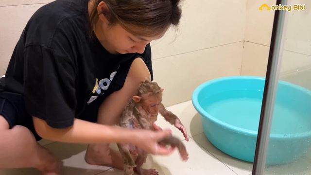 Monkey BiBi poop and called mom to help looks so funny смотреть онлайн