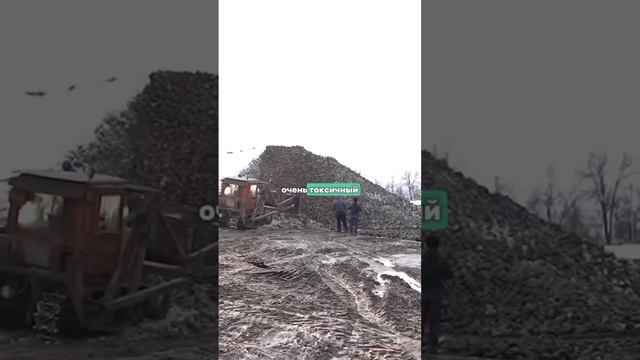 ЕСТЬ ЛИ САХАР ВО ФРУКТАХ?🍏 смотреть онлайн