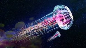 Самое Мощное Исцеление во Сне ☀️ Матрица Гаряева для Регенерации и Исцеления Всего Тела во Время Сна