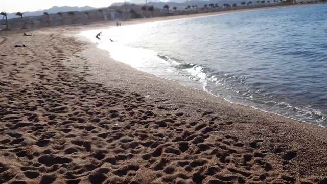 Barcelo tiran sharm. 14.04.21.Пляж. смотреть онлайн