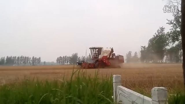 Foton lovol GF40 combine in China henan province смотреть онлайн