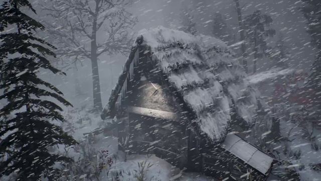 Эпическая снежная буря и сильный снегопад - Зимняя вьюга и шум ветра для сна смотреть онлайн