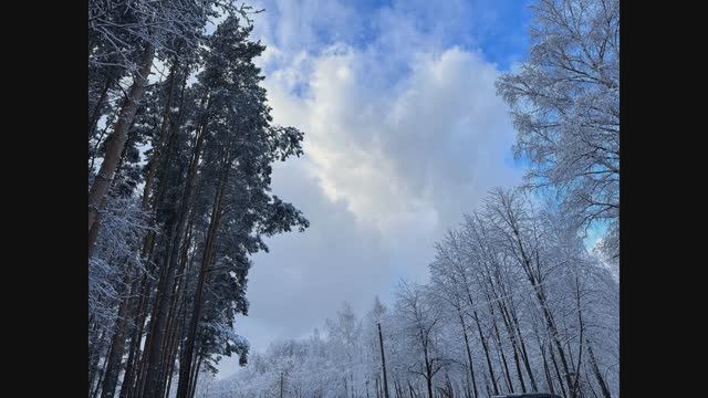 Новогодняя гонка, Волкуша, 31.12.2024 смотреть онлайн