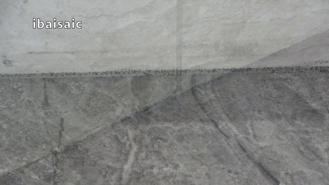 Dyson Omniglide Plus Cordless Vacuum Cleaner Unboxing & Demonstration смотреть онлайн