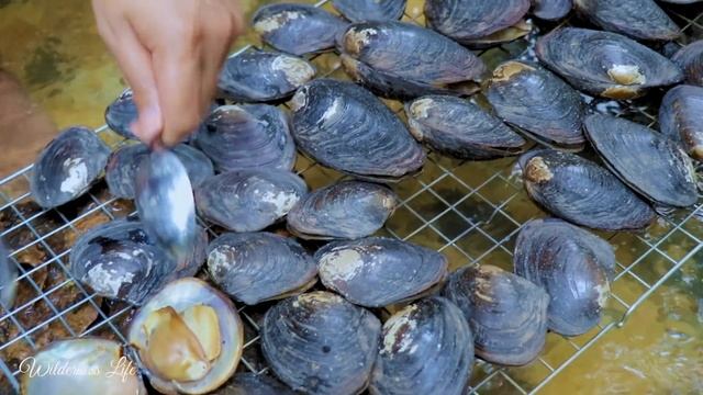 Testy Food Wilderness Fried Mussel or Clam 10 kg in River then Eating Delicious смотреть онлайн