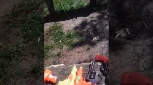 Мальчики играют в войнушки