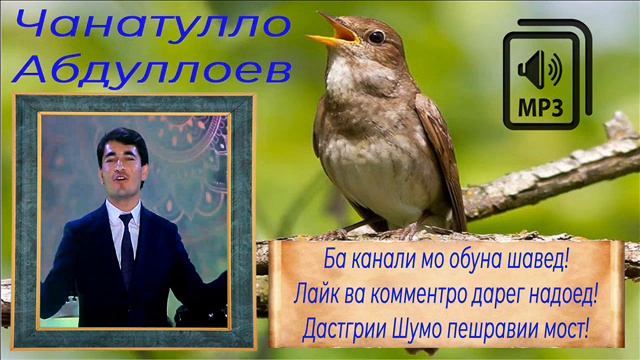 Чанатулло Абдуллоев 2021 Janatullo Abdulloev 2021 #ЧанатуллоАбдуллоев #ШохинАбдуллоев #Фотима #Mp3