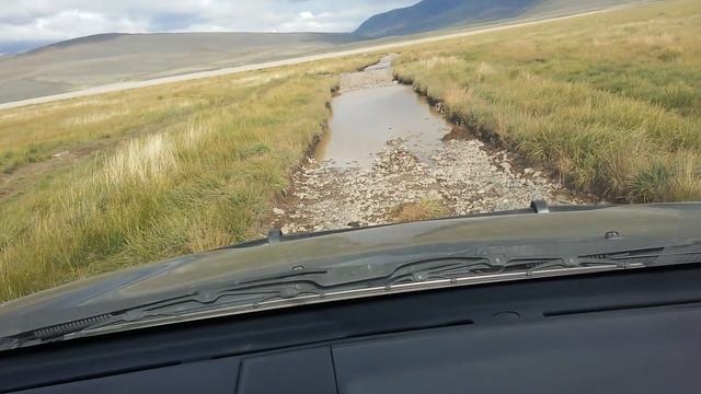 бесстрашная птица смотреть онлайн