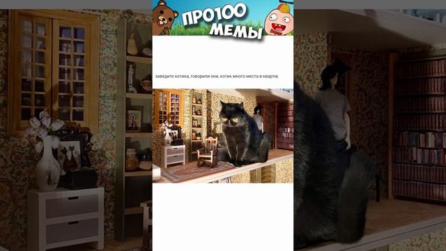 #приколы #мемы #мем #мемы2022 #юмор #котики #коты #кошки #кот #мемыпро100 смотреть онлайн