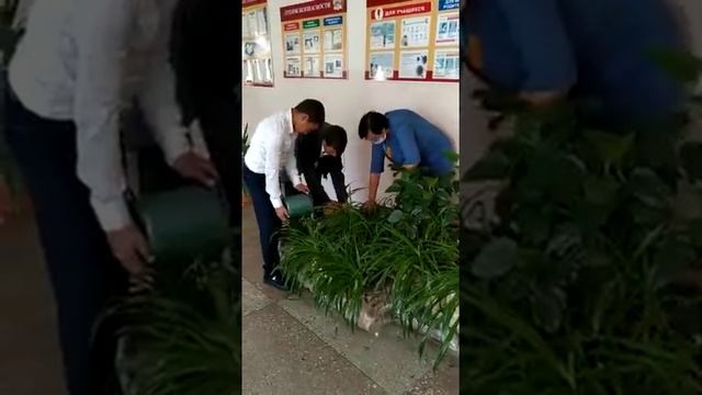 Кружок Дары природы смотреть онлайн